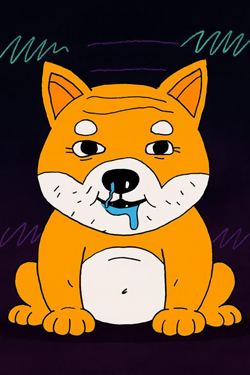 About Retard Inu
